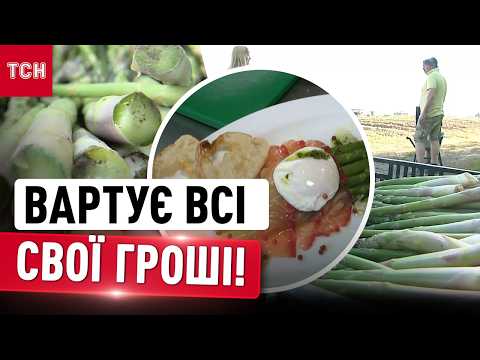 СРСР "заборонив" спаржу? УКРАЇНЦІ ПОВЕРТАЮТЬСЯ НА СВІЙ СТІЛ ДЕЛІКАТЕС після ЗАБУТТЯ thumbnail