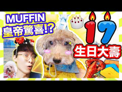 【MUFFIN17歲大壽一天遊😋】狗狗皇帝式慶祝？龍蝦大餐🦞玩盡寵物友善新商場 &狗公園❤️「狗玩的」扭計骰？ thumbnail