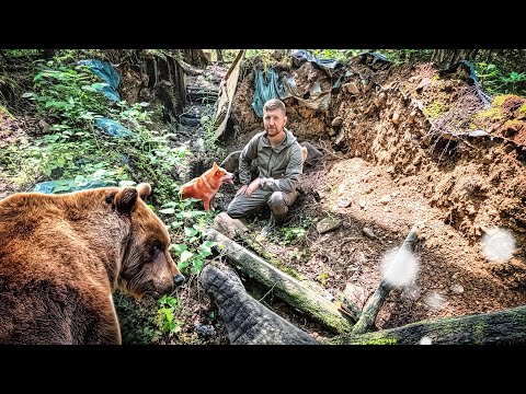 СРЕДИ МЕДВЕДЕЙ | РАЗРУШЕННАЯ ЗЕМЛЯНКА В ГЛУХОЙ ТАЙГЕ 🐻🌲 КТО УКРАЛ ФОТОЛОВУШКУ? В ПОХОД ПО ИЗБАМ thumbnail