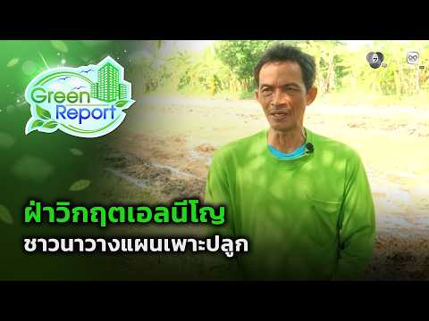ฝ่าวิกฤตเอลนีโญ ชาวนาวางแผนเพาะปลูก | Green Report thumbnail