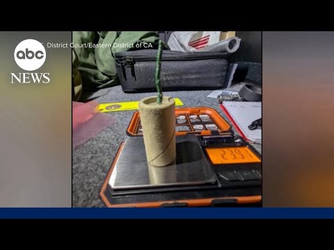 Man charged with allegedly bringing explosive device to airport thumbnail
