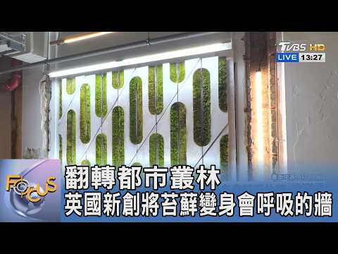 翻轉都市叢林 英國新創將苔蘚變身會呼吸的牆｜FOCUS午間新聞 20260605 @TVBSNEWS01 thumbnail