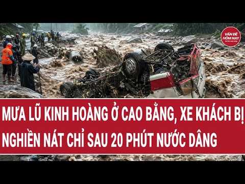 Bản tin thời sự: Mưa lũ kinh hoàng ở Cao Bằng, xe khách bị "nghiền nát" chỉ sau 20 phút nước dâng thumbnail