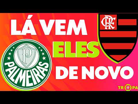 PALMEIRAS E FLAMENGO BRIGAM PELO TÍTULO BRASILEIRO... DE NOVO! | Tropa GE TV thumbnail