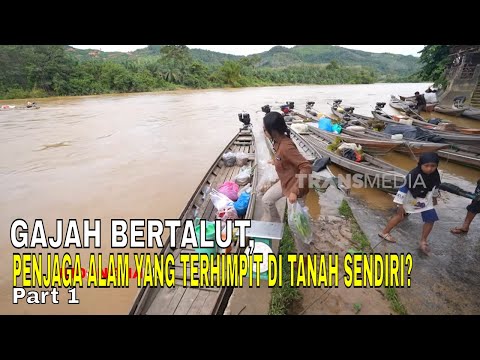 GAJAH BERTALUT, PENJAGA ALAM YANG TERHIMPIT DI TANAH SENDIRI? |  INDONESIAKU (26/05/26) Part 1 thumbnail