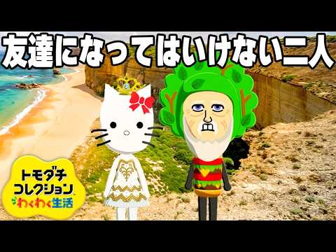 絶対にアウトな話題で友達が増える新作トモコレ【トモダチコレクション わくわく生活】 thumbnail