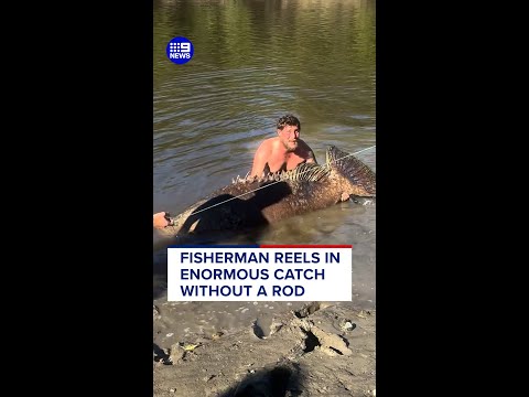 Fisherman reels in enormous catch without a rod | 9 News Australia thumbnail