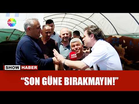 Arife günü kurban pazarı! thumbnail