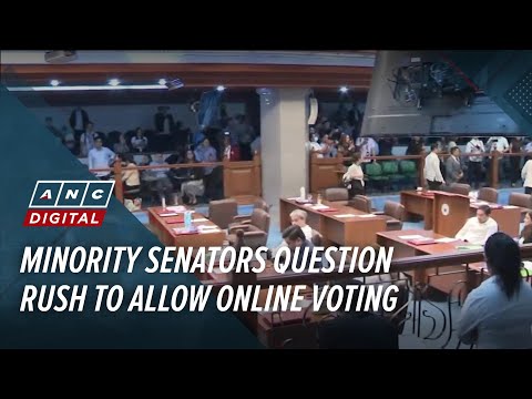 Minority senators question rush to allow online voting | ANC thumbnail