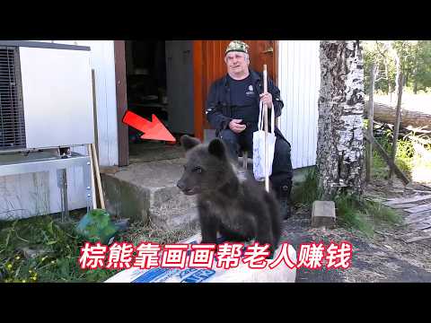 老人收养了一只棕熊，它的到来给老人枯燥的生活带来了生机 thumbnail