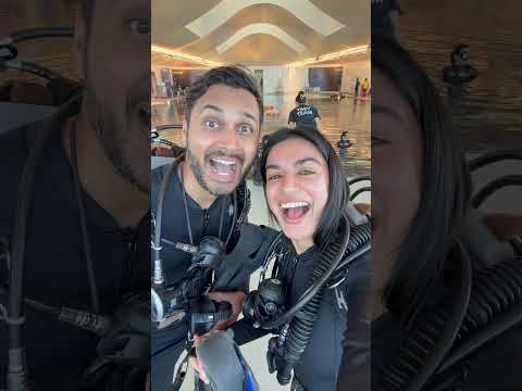 AMAZING Experience diving down to 12m in depth @visituae_ae   #hindi #diving #WorldsCoolestWinter thumbnail