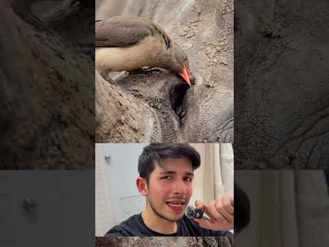 มันคือความสัมพันธ์ระหว่าง “ผู้ช่วย” และ “ผู้หาประโยชน์” ในเวลาเดียวกัน #youtubeshorts #เรื่องสั้น thumbnail