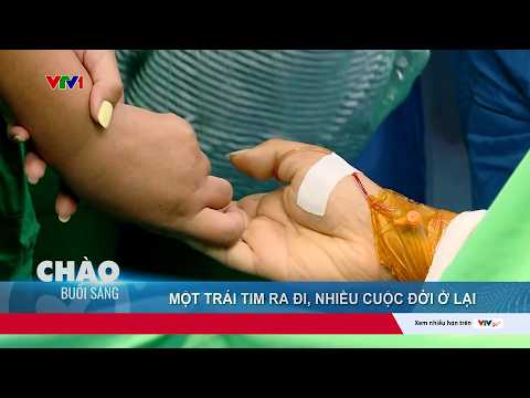 Một trái tim ra đi, nhiều cuộc đời ở lại | VTV24 thumbnail