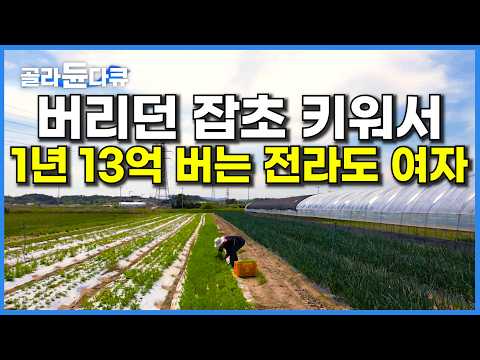 남들이 잡초 취급하던 풀 잘 키워서 팔았더니 연매출 13억 대박난 여자｜농사로 빚더미에 앉은 부부를 돈방석에 앉게한 풀의 정체｜한국기행｜#골라듄다큐 thumbnail