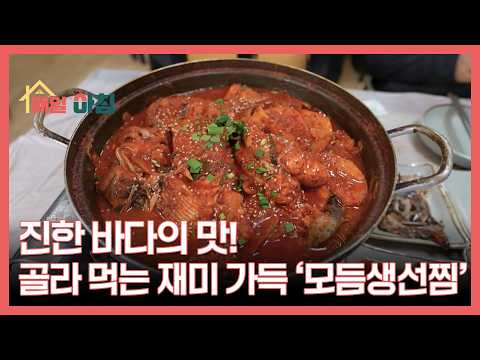 진한 바다의 맛! 골라 먹는 재미 가득 ‘모듬생선찜’ MBN 260514 방송 thumbnail