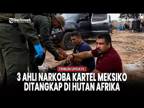 Laboratorium Narkoba Raksasa di Hutan Nigeria Digerebek, Tiga Ahli Kartel Meksiko Ditangkap thumbnail