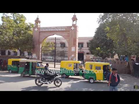 Driving through Bikaner past the historic Prince Bijay Singh Children's Hospital in Rajasthan thumbnail