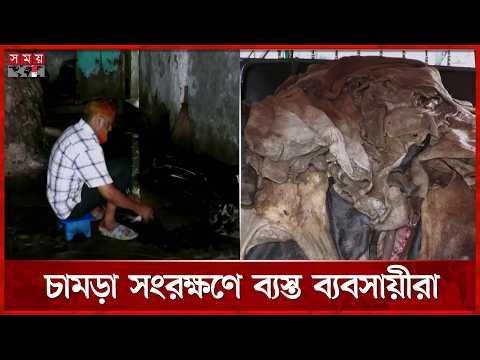 কুষ্টিয়ায় প্রাথমিক চামড়া সংরক্ষণ কার্যক্রম শুরু | Leather Preservation | Kushtia | Somoy TV thumbnail