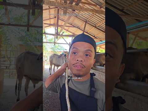 Tak bagi peluang punya? @hikmah.machang.fa #santai #bilal thumbnail