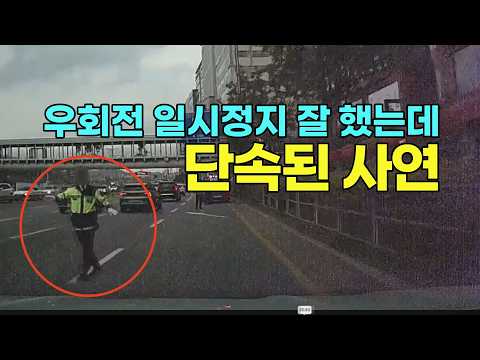 27094회. 우회전하기 전 일시정지 잘 지키고 우회전했는데 경찰에 단속당했습니다. 알고보니… 우회전 전용신호등이 있다네요 thumbnail