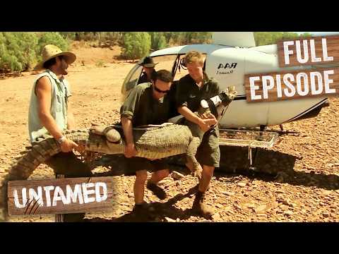 Crocodile Too Close To Humans Needs Removing From River ? | Full Episode thumbnail