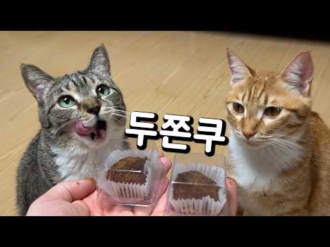 애들아 이게 그렇게 먹고 싶었어? thumbnail