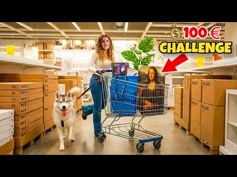 100€ CHALLENGE da IKEA! *HO ESAGERATO!* 😱💸 thumbnail