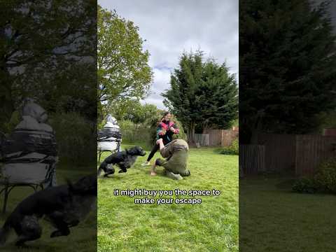 dodge rolls actually work? thumbnail