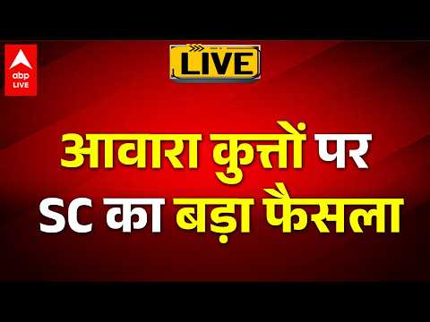 Supreme Court On Street Dogs LIVE: आवारा कुत्तों पर SC का बड़ा फैसला ABPLIVE thumbnail