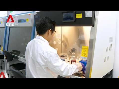 New S$1.4b biomedical sciences hub to house A*STAR, R&D firms thumbnail