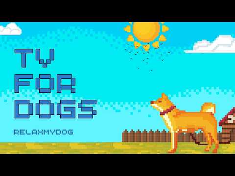 Scenic Virtual Walks Keeping Indoor Dogs Happy and Stimulated thumbnail