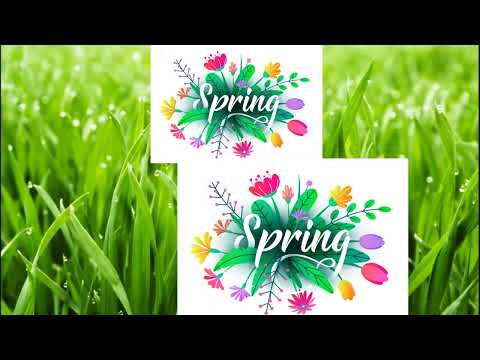 Spring Guessing Game: What is It? | English Task thumbnail