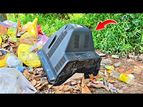 Niatnya Jalan Jalan, Malah Ketemu Benda Mewah Ini Tergeletak di Pinggir Jalan! thumbnail