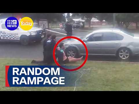 Recently released mental health patient unleashed violent rampage | 9 News Australia thumbnail