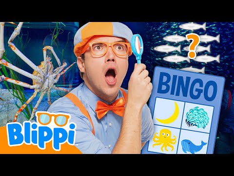 Blippi’s Big Aquarium BINGO GAME! 🐠 thumbnail