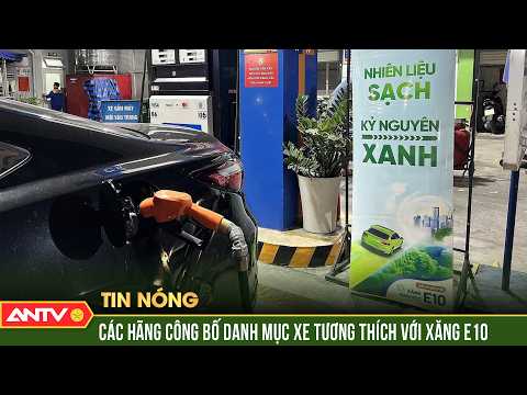 Bộ Công Thương yêu cầu hãng xe rà soát khả năng tương thích với xăng E10 | ANTV thumbnail