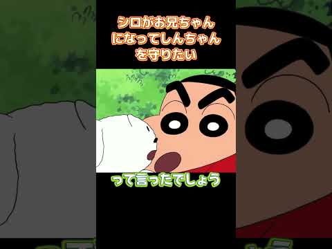 シロがお兄ちゃんになってしんちゃんを守りたい #アニメ #コントチャンネル  #anime #面白い #コント #funny thumbnail
