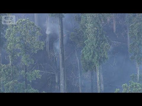 三重で山林火災　自衛隊も消火活動　22時間以上経過も鎮火せず(2026年5月20日) thumbnail