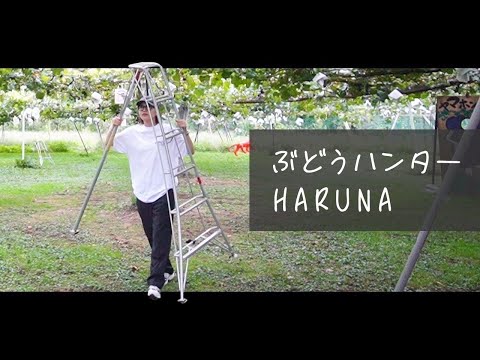 長野プチ旅行！人生初ぶどう狩り楽しすぎた！ thumbnail