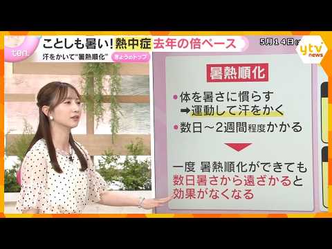 【夏本番を前に】エアコン点検は今のうちに！試運転のコツ　暑熱順化と水分補給で備える熱中症対策　 thumbnail