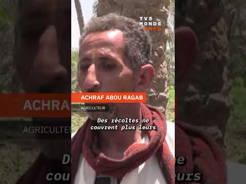 La montée de l'inflation en Égypte thumbnail