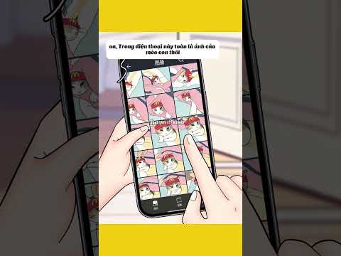 Bé mèo siêu cấp đáng yêu đã “hạ gục” trái tim bà ngoại! thumbnail