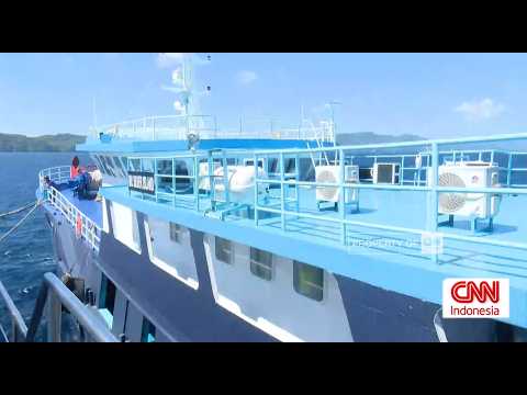 LIVE Sita 1,2 Ton Ikan Napoleon, KKP Tangkap Kapal Ikan Asing di Perairan Sulawesi thumbnail
