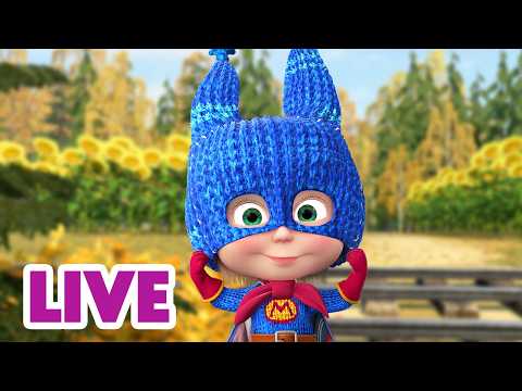 🔴 LIVE STREAM 🎬 Masha and the Bear 🤠🐎 American Dreams 🦸‍♀️🚀 thumbnail