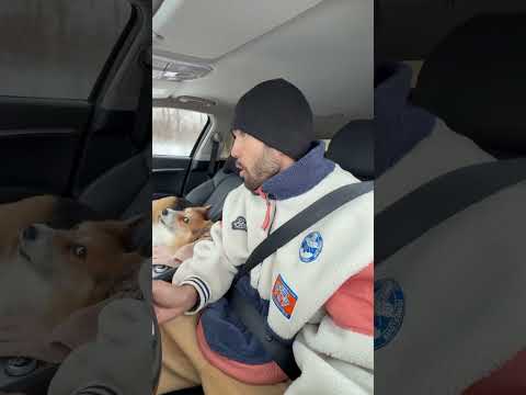 Ну вы поняли кого не любит Яша😁 thumbnail