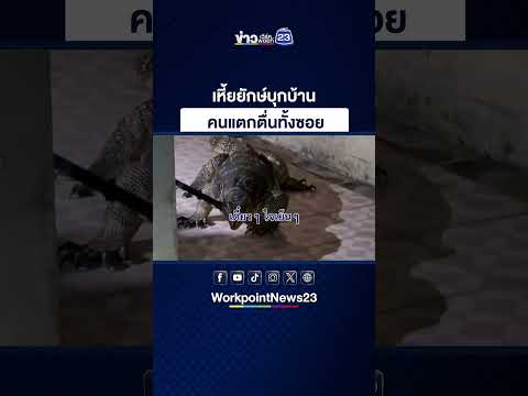 เหี้ยยักษ์บุกบ้าน คนแตกตื่นทั้งซอย thumbnail