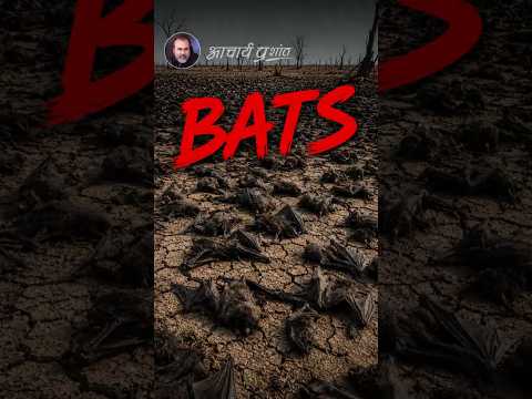 बैट्स || आचार्य प्रशांत thumbnail