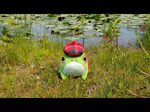 FROGGE REAL thumbnail