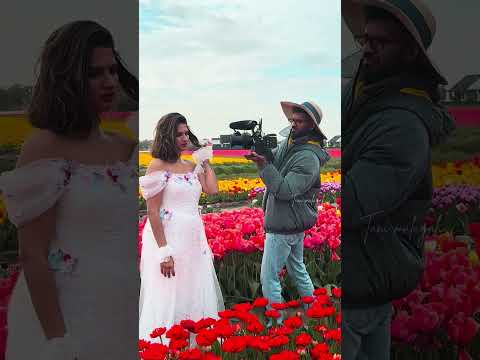 “She walked into a field of tulips and forgot the world behind 🌷” #tulip #flowers #field thumbnail