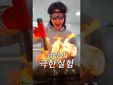 최고의 수세미를 찾아봤습니다 thumbnail